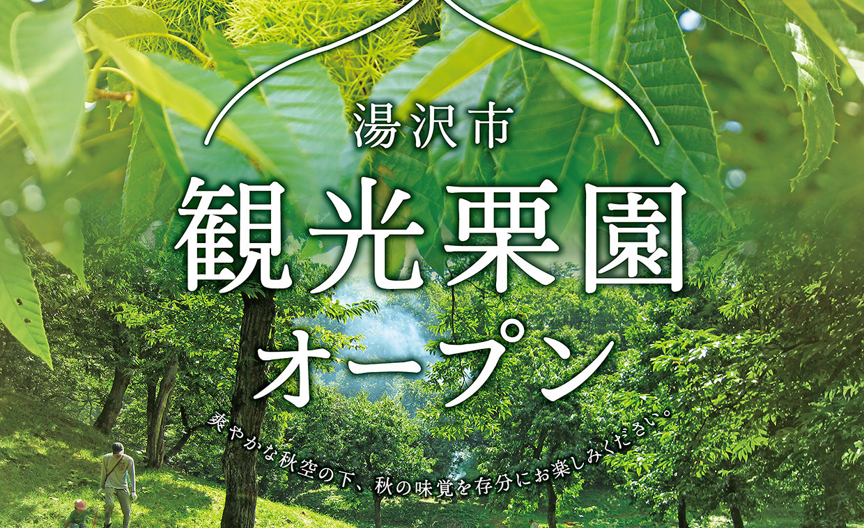 イガイガなんてなんのその 観光栗ひろい体験 季節限定 美ちしるべ